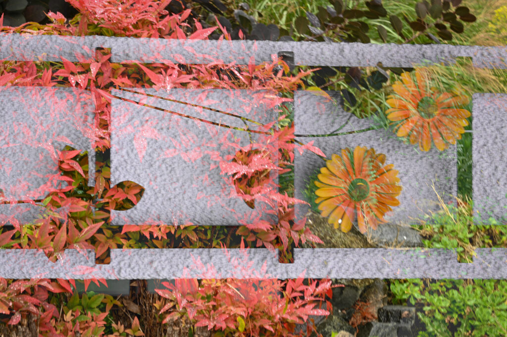 Multiple exposures and in camera movement. 