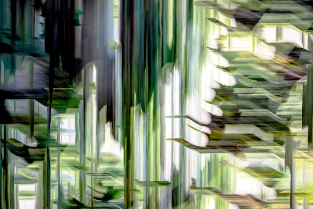 Multiple exposures and in camera movement.