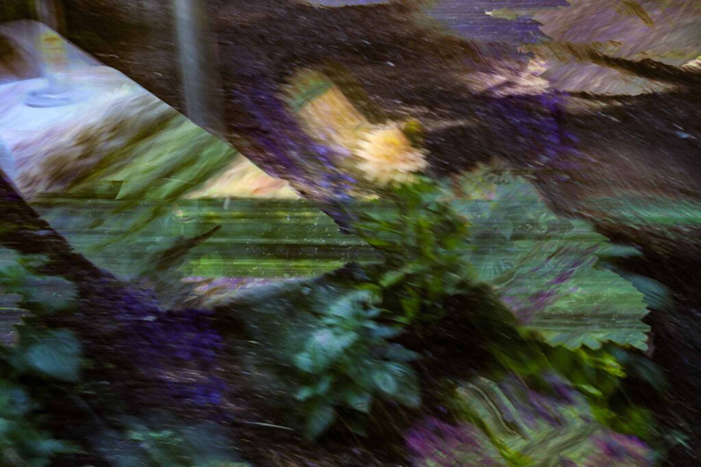 Multiple exposures and in camera movement