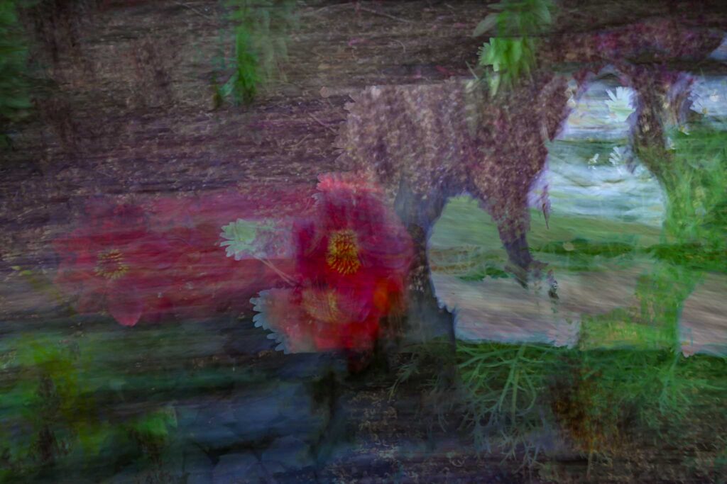 Multiple exposures and in camera movement
